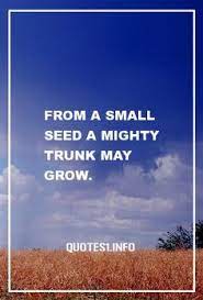 They will know their capabilities and strengths and use them to benefit the company. 30 Small But Mighty Quotes Ideas In 2021 Quotes Words Inspirational Quotes