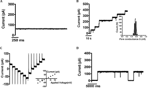 (sendirian berhad) sdn bhd malaysia company is the one that can be easily started by foreign owners in malaysia. Identification And Functional Characterization Of A Novel Oprd Like Chitin Uptake Channel In Non Chitinolytic Bacteria Journal Of Biological Chemistry