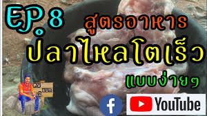 ep 8 ส ตรอาหารปลาไหลโตเร ว youtube กบ