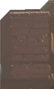 Image result for Plicosepalus amplexicaulis