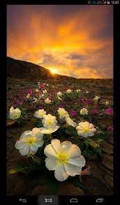 Praise The Lord Beautiful Nature Beautiful Landscapes Nature Photography