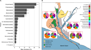 Sitio web oficial del actor y director argentino luciano cáceres. Spatial Distribution Of Prokaryotic Communities In Hypersaline Soils Scientific Reports