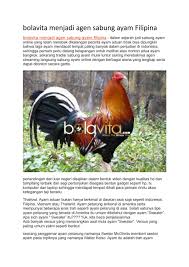 Ayam bangkok memang sudah terkenal dengan keunggulannya. Bolavita Menjadi Agen Sabung Ayam Filipina By Jackieperuna10 Issuu