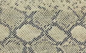 The official gemstone iv encyclopedia. Download Wallpapers Snake Skin Texture Cobra Skin Texture Snake Snake Skin Background Snake Skin Pattern For Desktop Free Pictures For Desktop Free
