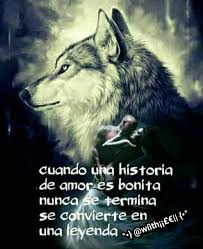 Pin De Francisca Penayo En Frases De Lobos Frases De Lobos Frases Motivadoras Dichos Y Frases