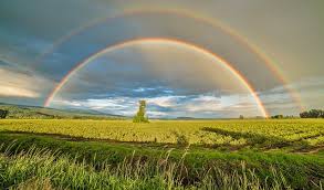 Maybe you would like to learn more about one of these? Rv Rental Langley Bc Rv Rent A Campervan