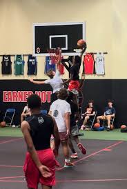 Twitter Online Web Viewer Account Analysis