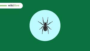 In dreams kannst du deine eigenen spiele kreieren und in diesem video stelle ich euch spiele wie fnaf, p.t the second floor vor, sehen das horror haus, greml. Spinnen Aus Dem Haus Beseitigen Wikihow