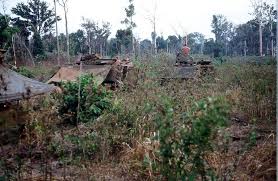 Chris Stock Vietnam War Vietnam Townsville