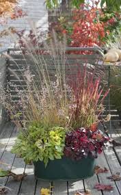 Die Schonsten Kubelbepflanzungen Mit Ziergrasern Und Blutenpflanzen Bepflanzung Pflanzen Kubelpflanzen