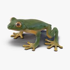 Tree Frog 3d Model Ad Tree Frog Model Tree Frogs Frog Model Tree