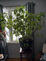 Today I saw a young lady post a picture