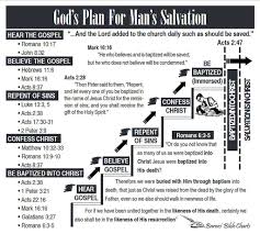 Gods Plan For Mans Salvation Bible Words Bible Notes