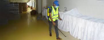 Bed Bug Treatment