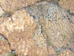 Discover free flashcards, games and test preparation activities designed to help you learn about ripple marks and other subjects. Fossilized Ripple Marks Picture Free Photograph Photos Public Domain