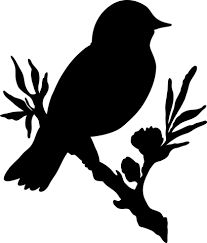 Bird On Branch Silhouette Bird Branch Flower No Background Bird Silhouette Bird Stencil Bird On Branch