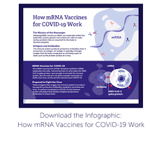 We did not find results for: Mrna Vaccines