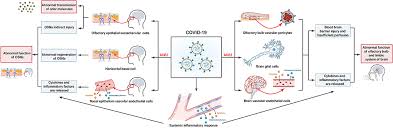 Image result for Drug-Induced Olfactory Dysfunction