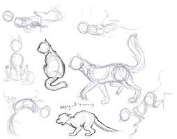 Kitty Poses Cat Drawing Tutorial Animal Drawings Animal Sketches