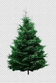 Artificial Christmas Tree Pine Spruce Holidays Branch Christmas Decoration Png Klipartz The advantage of transparent image is that it can be used efficiently. artificial christmas tree pine spruce