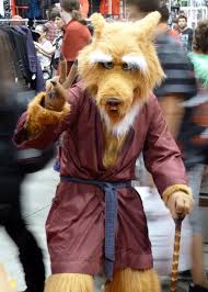 He is voiced by darren dunstan who also voices maximillion j. Splinter Teenage Mutant Ninja Turtles Wikipedia