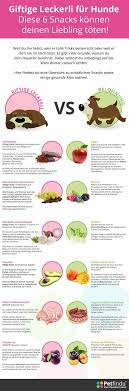 Idee Von Birgit Ohl Auf Hundegesundheit Hunde Hunde Ernahrung Haustiere