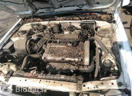 Image result for Malacca Blue 1989 Summit