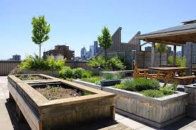 Landscaping pro brook klausing shares secrets for creating a stylish and hip rooftop garden. What To Consider When Designing And Building Your Own Rooftop Or Balcony Garden Projex Group