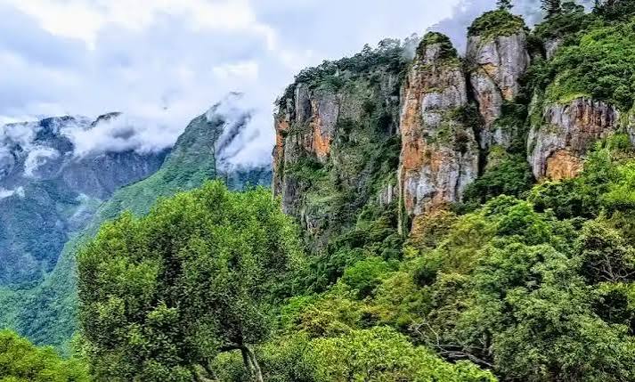 Best Places to Visit in Kodaikanal - Travel and Tourist Guide