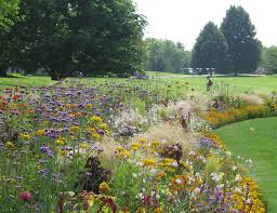 It changes from a tulip flower field to a. Britzer Garten Mykidds Com