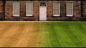 Video Photoshop Quick Tip How To Make Burnt Out Brown Grass Into A Lush Green Lawn Photoshop Lighting Photoshop Green Lawn