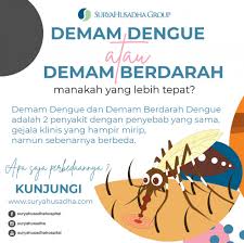 Demam dengue juga disebut sebagai breakbone fever atau bonebreak fever (demam sendi). Surya Husadha Hospital
