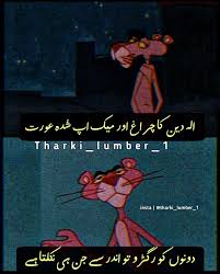 Here we have a social affair of best funny urdu jokes which will no ifs and or buts fill your heart with euphoria. Funny Lines In Urdu Funny Jokes Funny Memes Funny