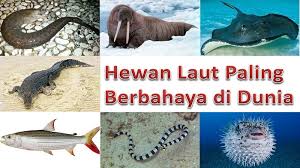 Laut china selatan kepulauan yang berada di. Hewan Laut Paling Berbahaya Yang Ada Di Dunia Praktisi Online