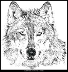 Feel free to explore, study and enjoy paintings with paintingvalley.com. Gray Wolf Drawing Art Prints And Posters By Noor Ragaban Artflakes Com