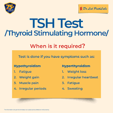 Image result for Thyroid Function Test