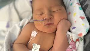 Fundraiser for David Weberg by Monique Guerrero : Help Baby Oliver's Heart  Journey