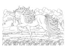 Ausmalbild Einhorn Fabelwesen Einhorner Unicorn