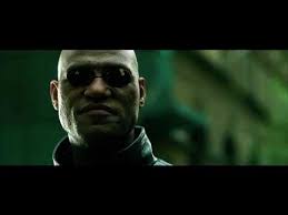 I love this meme because i literally think of this meme every time i see a news article that does it. Matrix Bitcoin Meme Youtube