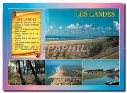 Looking for hotels in cote landaise? Postcard Modern Landes Cote Landaise Forest Capbreton Dax Pine Hassegar Hippostcard