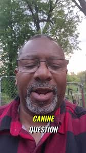 We have been contemplating getting a friend for our French Bulldog