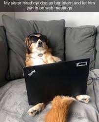 We did not find results for: 51 Funny Zoom Background For Your Zoom Meetings Ideas In 2021 Funny Messy Room Background
