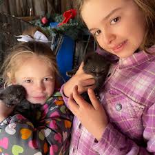 Watch me work. RodneyCarrington.com