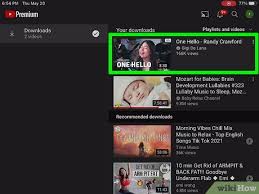 Here'S How To Download Youtube Videos And Watch Them Offline – Droid News