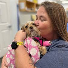 Animal Clinic of Woodruff