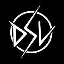 The company operates three business segments: Matthew Friedman Dsv Audio 2017 Logo