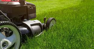 Maybe you would like to learn more about one of these? What Does Lime Do For Grass And Why Your Lawn Might Need It