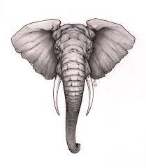 If you want special meaning for your new tattoos, you can pick up elephant tattoos. Elephant Tattoos Designs And Ideas Page 17 Elephant Head Tattoo Elephant Face Elephant Tattoo Design