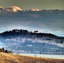 Bussenkirche Hashtag Auf Instagram Fotos Und Videos In 2020 Instagram Natural Landmarks Nature