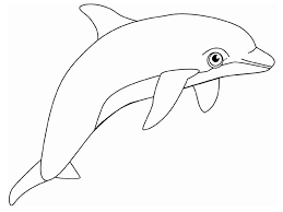 Coloring Pages Dolphin Easy Dolphin Coloring Pages Ideas Dolphin Coloring Pages Animal Coloring Pages Whale Coloring Pages